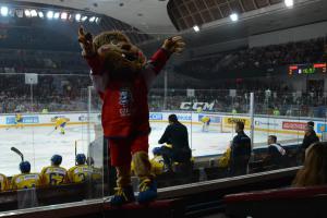 Výzva pro příznivce hokeje. Navrhněte slogan pro šatnu české hokejové reprezentace! Výzva pro příznivce hokeje. Navrhněte slogan pro šatnu české hokejové reprezentace!