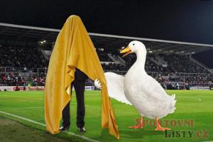 Známe skutečného majitele Viktorie Plzeň