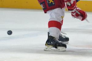 Ostrý obraz a čistý zvuk ve čtvrtek 20. srpna 2020 na ČT SPORT a to živě lední hokej