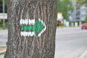 Zejména v kalamitních oblastech se nyní často obnovuje turistické značení