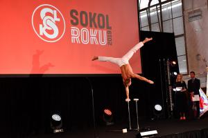 Sokoly roku 2019 jsou šermíř Alexander Choupenitch a basketbalistky z Hradce Králové