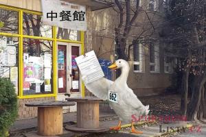 Svaz juda otvírá japonskou restauraci Svaz juda otvírá japonskou restauraci