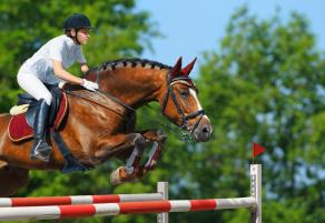 Parkur Concours de Saut International Officiel 2014