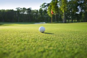 Zdravotní stav Tigera Woodse zamíchal golfovým pořadím