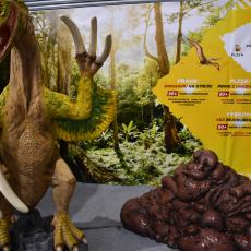 Zeptali jsme se u tohoto stánku, co to je za útvar vedle dinosaura a dozvěděli jsme se hov..