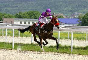 Kdo si odveze novou trofej Velké pardubické ?
