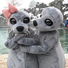 Počínání maskotů Bublinky a Huga sleduje vodní slalomář Lukáš Rohan