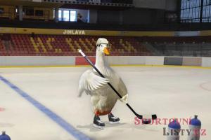 Plekanec jde do Jihlavy