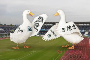 Tomio Okamura povede judistickou reprezentaci
