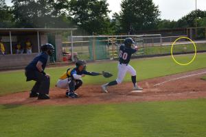 Kam ve středu 29. července 2020 za sportem? Na baseball do Prahy či na šachy do Pardubic