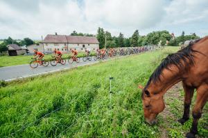 Karel Hník na královské etapě Czech Cycling Tour potřetí ve Šternberku druhý