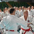 Stáž Okinawa Shorin-ryu Karate k příležitosti 45. výročí Shorin-ryu Karate v Polsku