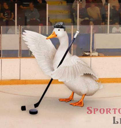 Hokejová Sparta porazila fotbalovou