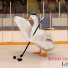 Hokejová Sparta porazila fotbalovou Hokejová Sparta porazila fotbalovou