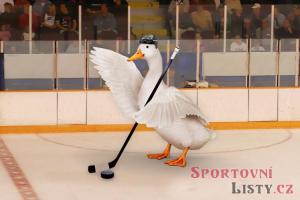 Hokejová Sparta porazila fotbalovou