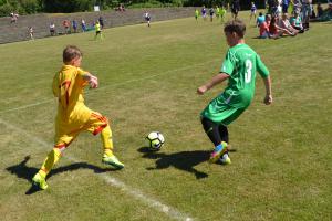 Sdružení sportovních svazů navrhuje řešení pro přidělování státních dotací sportu