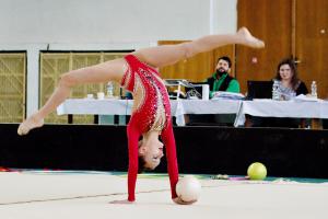 Máme obrázky od Jiřího Růžičky ze závodů o Vinohradský hrozen v moderní gymnastice s míčem