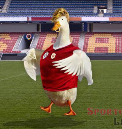 Sparta z vyřazení viní české konkurenty