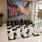 Základy šachu zná v Česku každý třetí, ale organizovaných šachistů je jich jen dvacet tisíc Základy šachu zná v Česku každý třetí, ale organizovaných šachistů je jich jen dvacet tisíc