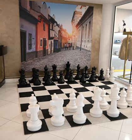 Základy šachu zná v Česku každý třetí, ale organizovaných šachistů je jich jen dvacet tisíc