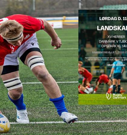 Kam 11. dubna 2026 za sportem? Na fotbal, lední hokej, volejbal, házenou, ragby, basketbal