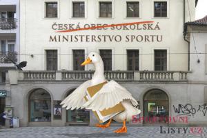 Ministerstvo sportu míří do sídla Sokola