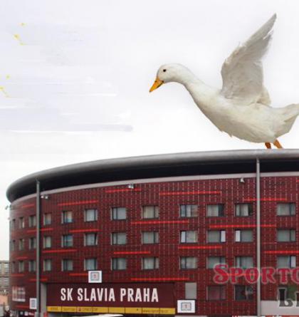 Po další bodové ztrátě mění Slavia plány