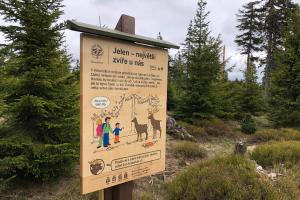 Turisté, právě vznikla Jelení hravá naučná stezka Správy KRNAP nad Špindlerovým Mlýnem