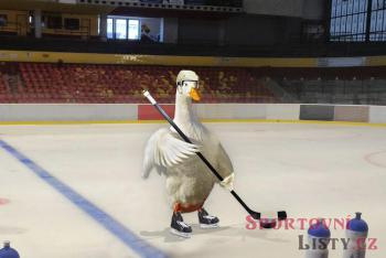 Kanaďané objevili ruce. Po vítězství nad Čechy utekli a pak se divili, že se mají zdravit