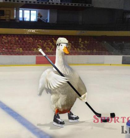 Kanaďané objevili ruce. Po vítězství nad Čechy utekli a pak se divili, že se mají zdravit