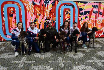 Na dostihové závodiště Velké pardubické vyběhnou nejlepší musheři světa se svými psy