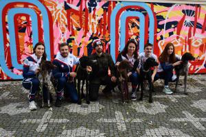 Na dostihové závodiště Velké pardubické vyběhnou nejlepší musheři světa se svými psy