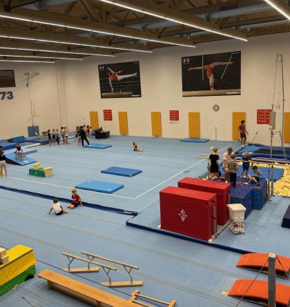 Český sport ztrácí dech: Kluby slábnou, trenéři i funkcionáři stárnou