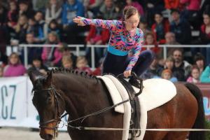 Paradrezurní mistrovské tituly za rok 2015 rozdány