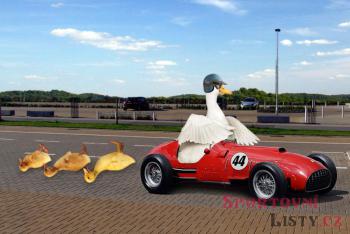 Nové formule mají šanci zamířit do Česka