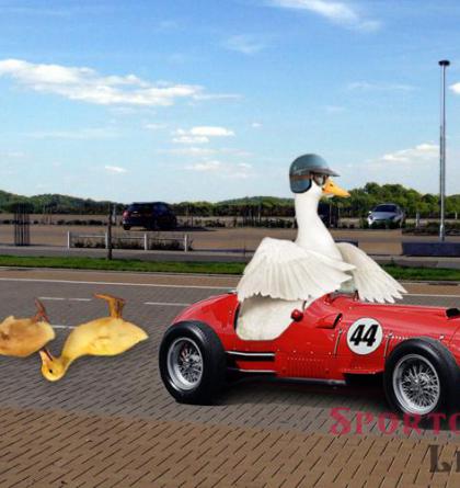 Nové formule mají šanci zamířit do Česka