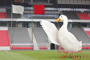 Dukla balí kufry. Míří z Julisky do Kladna a bere to ve velkém stylu