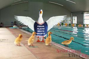 EU kvůli Praze ruší cenu Evropské hlavní město sportu