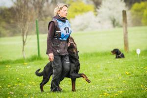 Na Mistrovství ČR sportovních rottweilerů 2016 první Zuzana Marthalerová s Orisem Ballotada