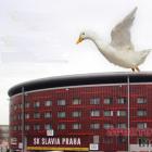 Tomáš Chorý kandidátem na prezidenta