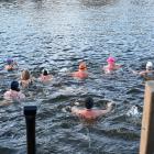 Ve Vltavě se na Memoriálu Alfreda Nikodéma 2025 otužovalo  330 plavců od 13 let do 83 let