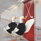 Předseda hokejového svazu tasí trumf na trenéra reprezentace Předseda hokejového svazu tasí trumf na trenéra reprezentace