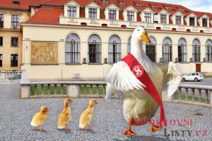 Díky úspěšnému Sletu přijdou Sokolové o parkoviště