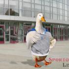 ČOV hledá bobistu na poslední chvíli před olympiádou ČOV hledá bobistu na poslední chvíli před olympiádou