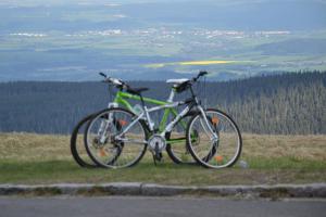 S kolika promilemi alkoholu v krvi budete moci šplápnout do pedálů svého bicyklu?