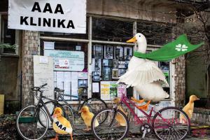 Praha zakládá novou cyklistickou stáj