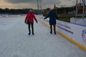 Kam 20. prosince 2022 za sportem? Hurá na extraligový hokej nebo se jít někam sklouznout