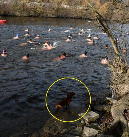 Kam 24. ledna 2026 za sportem? Na lední hokej, basketbal, házenou, lyžování, biatlon a plavání