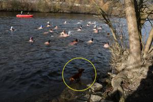 Kam 24. ledna 2026 za sportem? Na lední hokej, basketbal, házenou, lyžování, biatlon a plavání