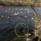 Kam 24. ledna 2026 za sportem? Na lední hokej, házenou, lyžování, biatlon a plavání